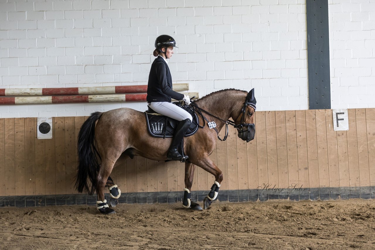 Bild 20 - Pony Akademie Turnier